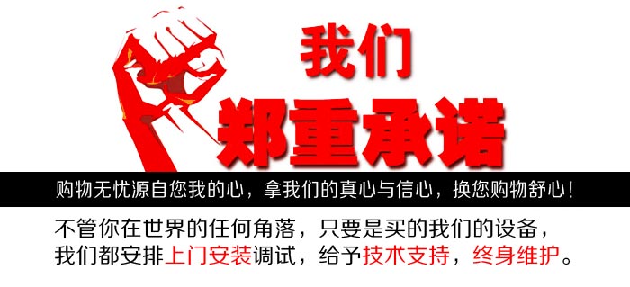 山东威力重工120吨深喉冲床郑重承诺